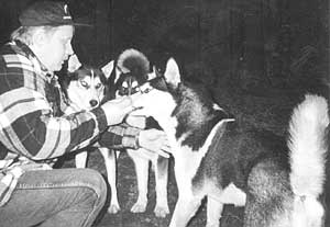 Sibierien Huskies mit Erhard Feickert