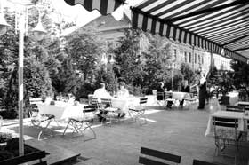 Eine grüne Oase der Ruhe, Erholung und Entspannung bildet das Parkhotel Branitz & Spa