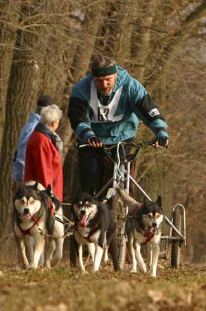 Schlittenhunde