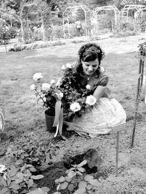 Bleibende Erinnerungen setzte die 19. Rosenkönigin im Rosengarten zum Brandenburg-Tag ein und sind am Sonntag zu bewundern