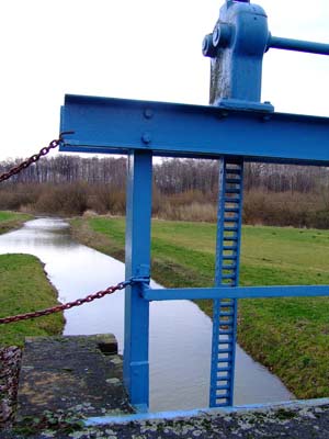 Das 1977 erbaute Schöpfwerk II in Briesnig dient dem Hochwasserschutz: durch den Tagebau ist die Malxe, die von Mulk-nitz nach Heinersbrück floss, zur Neiße durch den Malxe-Neißekanal umgeleitet. Wenn der Grenzfluss allerdings hohe Pegel hat, muss das Wasser durch das Werk angehoben, „geschöpft“ werden. Das Schöpfwerk I steht übrigens in der Höhe Hornower Berg und fördert bei Bedarf Wasser aus der Niederung zwischen Straße und Kohleloch Fotos: sp 