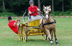 Die Fahrsport-Wettkämpfe mit Kutschen gehören in Gallinchen zu den Höhepunkten und locken stets viele Besucher. Die Sportlerin Lena Kostrewa hat den Sport in ihrem Verein An der Kutzeburger Mühle in Gallinchen vorangetrieben