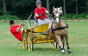 Die Fahrsport-Wettkämpfe mit Kutschen gehören in Gallinchen zu den Höhepunkten und locken stets viele Besucher. Die Sportlerin Lena Kostrewa hat den Sport in ihrem Verein „An der Kutzeburger Mühle“ in Gallinchen vorangetrieben