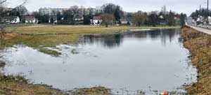 So wie hier in Guben sind immer wieder auf Weideflächen und Äckern riesige Wasserflächen zu sehen. Und selbst dort, wo es scheinbar trocken zugeht, versinken die schweren Landmaschinen und machen eine Bestellung mit wichtigen Zwischenfrüchten derzeit unmöglich. Die nahe an der Neiße gelegenen Flächen gehören neben dem Spreewald zu den besonders betroffenen Gebieten. EU-Förderrichtlinien haben für solche Situationen jedoch nur sehr wenig Verständnis
