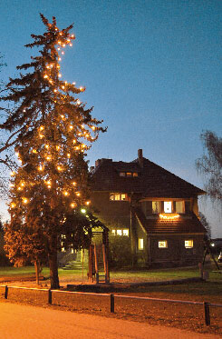 Kolkwitzer Weihnachtsbäume im Schönheitswettbewerb - links auf dem Wichtelmarkt-Gelände an der Bibliothek, oben als neuer „leuchtender Wegweiser“ direkt an der Landesstraße