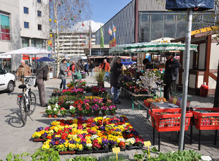 Riesenauswahl an Frühlingsblühern für Balkon und Terrasse bietet der Ostermarkt auf dem Stadthallenvorplatz. Hier wird auch wieder ein kleiner Rummel für Kinder aufgebaut und auch lebendige Tiere zum Streicheln werden da sein.