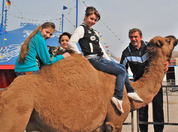 Scarlett und der Traumzauber heißt die Show im Traumzauberzirkus Rolandos. Bis 9. April steht er auf dem Cottbuser Viehmarkt. In der Show wird das Mädchen Scarlett (2.v.r.) die überheblich ihre Puppe wegwirft, selbst in eine Puppe verwandelt. Mithilfe des Zauberers (Roland Krämer, r.) wird durch eine tolle Tier- und Artistenshow Scarlett wieder zu einem normalen Mädchen. Roxana (l.) und Virginia (2.v.l.) erstaunen dabei das Publikum genauso wie der kleine Mischlingshund Brutus	   Foto: M.K.