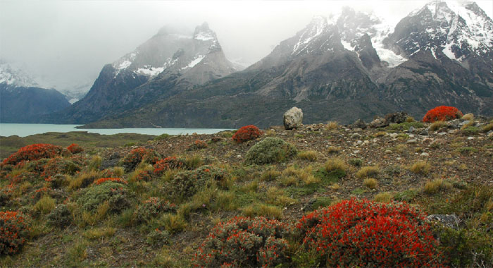 Patagoniens Reiz: Schroffe Felsen, ewiges Eis und üppig blühende Hügel
