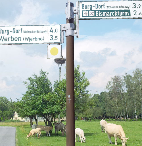 In allen Himmelsrichtungen liegt Burg. Für Fremde mit schlechten Karten ein Rätsel. Kann das Dorf da und auch dort liegen? Kann es. Einst war Burg größtes Dorf der Republik. Heute ists als Amt noch viel größer, von Fehrow bis Kolonie 15 Kilometer Luftlinie. Ein Paradies, wohin das Auge schaut. Kommenden Montag ist 20. Amtsgeburtstag 	Fotos: Hnr.