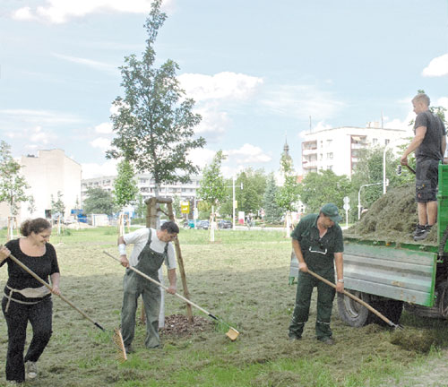 Die Biologin Christina Grätz (l.) packt mit an und unterstützt die Männer der Bauern AG Neißetal beim Abladen und Breitharken des Branitzer Maatgutes auf den neuen Boden an der Berliner Straße. Aus dem Gras, das noch am Dienstagmorgen (Bild rechts) im Branitzer Park gemäht wurde, sollen sich Wildpflanzen aussamen und Forst somit bunter machen. Zudem, so der Geschäftsführer der Forster Wohnungsbaugesellschaft Uwe Engelmann, sollen noch Abrissarbeiten neben dem Lindeneck im Kraftwerksbereich erfolgen. Auch in der Mühlenstraße steht der Abriss bevor Fotos: M.K., C. Grätz
