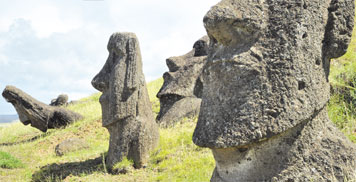 Am Ramu Raraku, dem Steinbruch, stehen und liegen  die meisten Moai