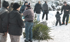 Die manchmal mühsame Suche nach dem schönsten Weihnachtsbaum gehört für viele Familien zur Vorweihnachtszeit. Glühwein und Gegrilltes gibt es jedes Jahr im Revier am Kleinsee 	Foto: Jens Haberland
