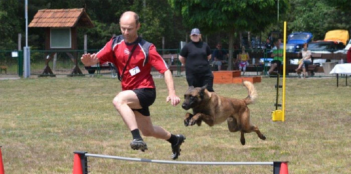 Da mussten Hund und Herrchen gleichermaßen rackern: Maik Mosler erreichte mit seinem Malinoisrüden Shadow den ersten Platz im 2000 Meter Geländelauf 	      Foto: privat