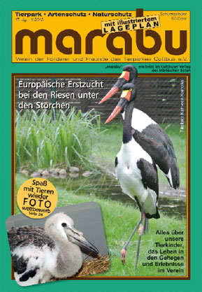 Soben erschienen: der neue „marabu“ mit allen Informationen über das Zootierleben im zurückliegenden Jahr. Diese Vereinsschrift gibt’s an der Tierparkkasse