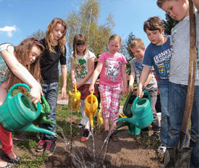Gemeinsam wurden drei Bäume des Jahres – der Wildapfel – im Schulgarten gepflanzt. Der Oberförster und auch Schirmherrin Kerstin Kircheis halfen tatkräftig mit