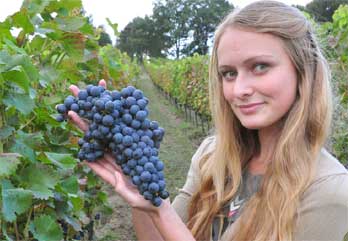 Hanna Pererva ist durch ihren heimischen Krim-Wein verwöhnt, doch von den Granoer Trauben ist sie begeistert: Süß und voller Geschmack, sagt die Landwirtschaftsstudentin, die hier die Weinbauwirtschaft erforscht Foto: J. Haberland