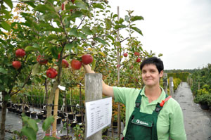 Pflanz- und Pflegehinweise zu den Obstgehölzen und Beerensträuchern gibt Simone Radatz von der Dubrauer Baumschule beim Obsttag an diesem Wochenende 	Foto: M.K.