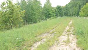 naturbelassener Weg östlich der Neiße