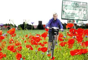 Klatschmohn und Kornblumen bringen Farben des Sommers ins Land